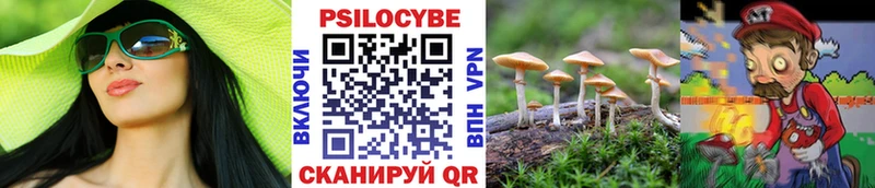 Купить закладки  Абинск  Псилоцибиновые грибы ЛСД 
